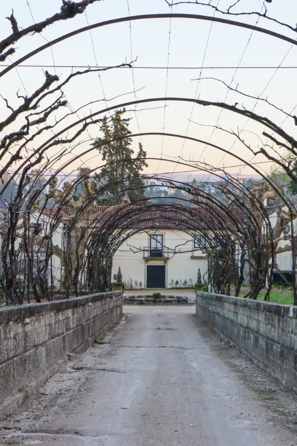 contactos2 contactos2